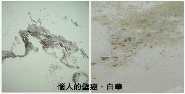 �Ѫ�O�|������